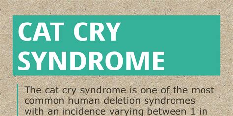 cricut syndrome|kitten cry syndrome.